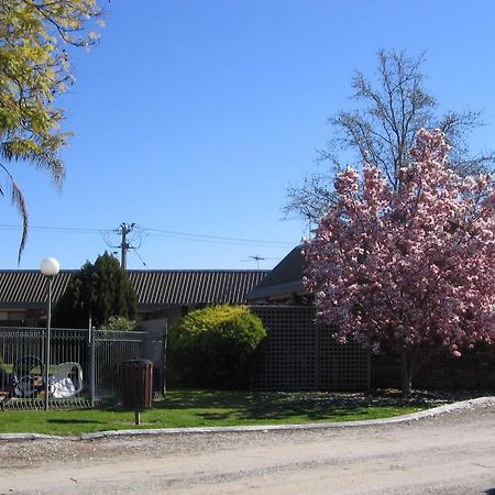 Belvoir Village Motel&Apartments Wodonga Extérieur photo