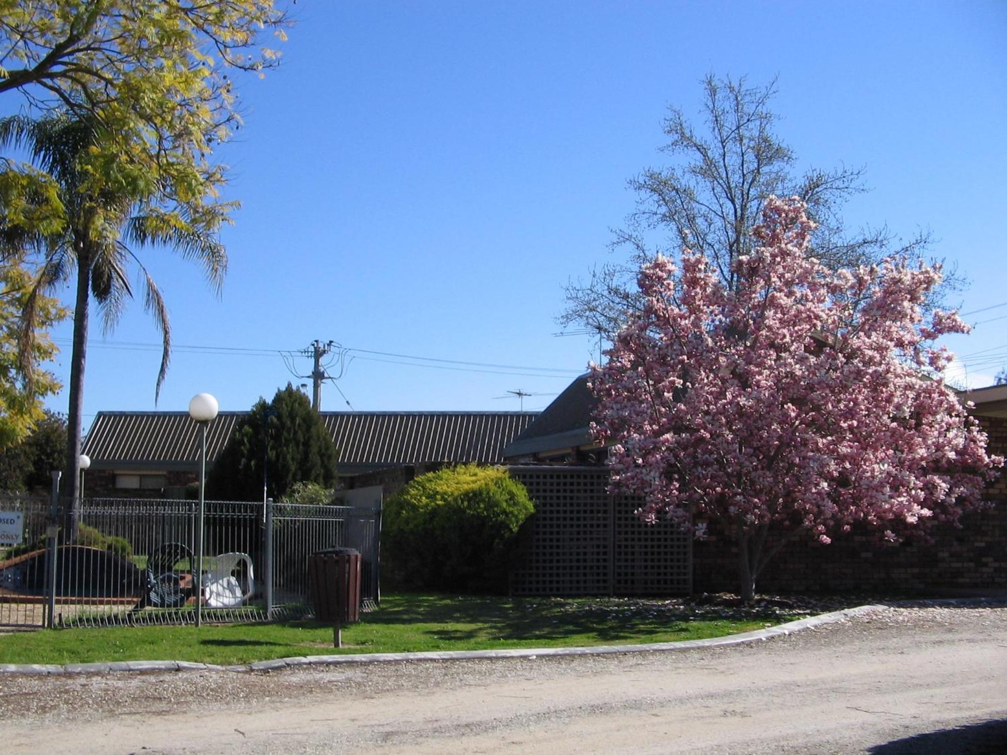 Belvoir Village Motel&Apartments Wodonga Extérieur photo