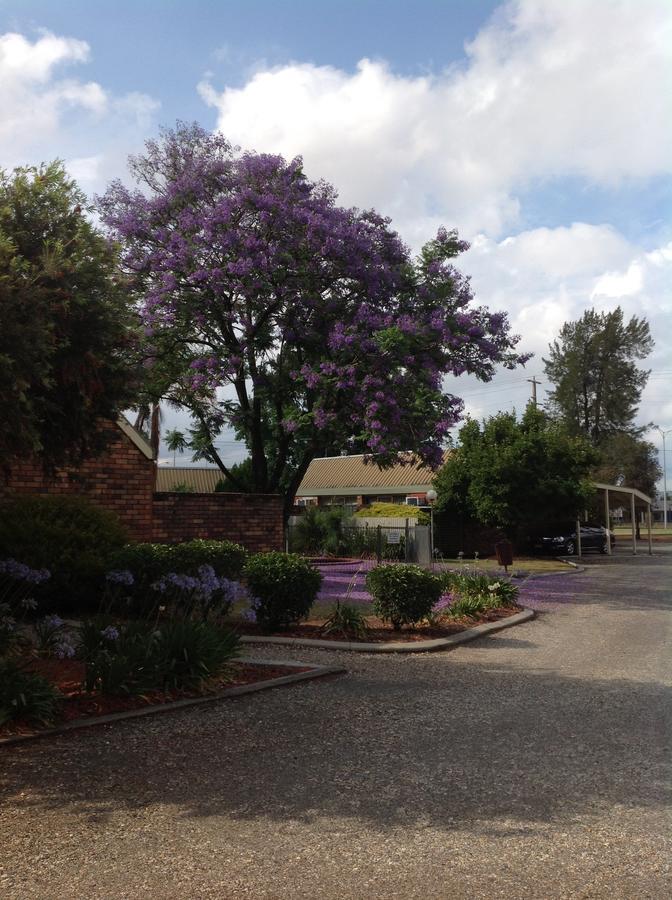 Belvoir Village Motel&Apartments Wodonga Extérieur photo