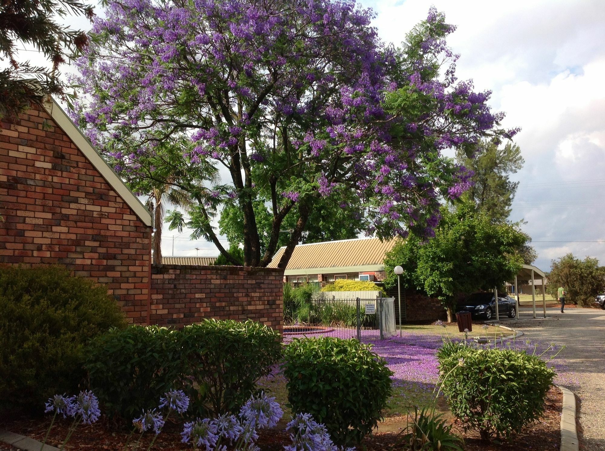 Belvoir Village Motel&Apartments Wodonga Extérieur photo